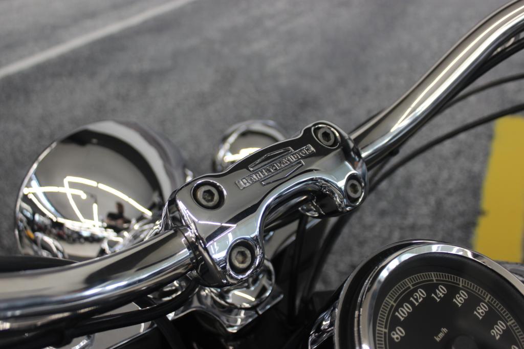 HARLEY-DAVIDSON SOFTAIL DELUXE  FLSTN
