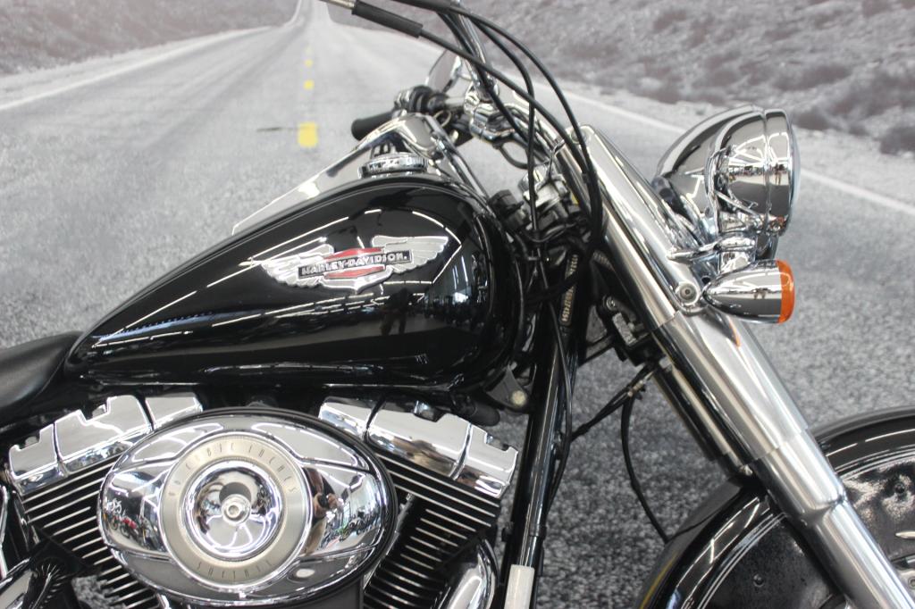 HARLEY-DAVIDSON SOFTAIL DELUXE  FLSTN