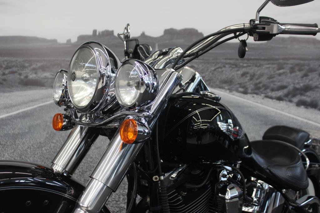HARLEY-DAVIDSON SOFTAIL DELUXE  FLSTN