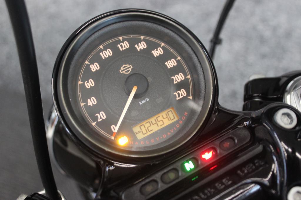 HARLEY-DAVIDSON XL 1200X FORTY EIGHT SPORTSTER