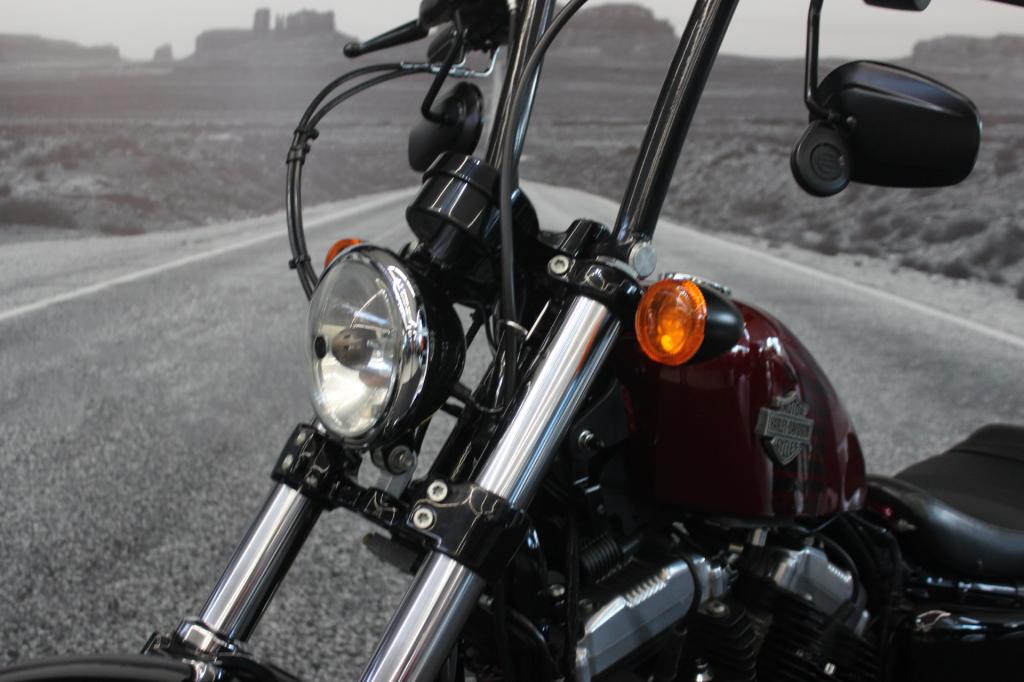 HARLEY-DAVIDSON XL 1200X FORTY EIGHT SPORTSTER