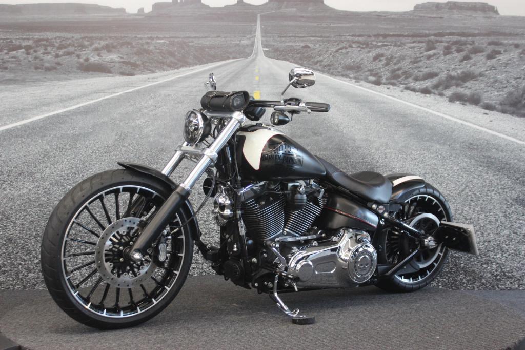 HARLEY-DAVIDSON